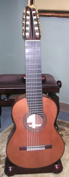  Elite Concert 10-String