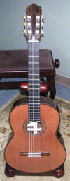 Concert Model 200