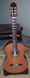 Concert Model 99