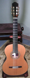 Concert Model 99 Special