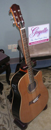 Acoustic Dreadnought