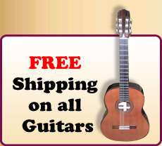 Free shipping on all Guitars