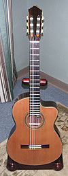 Classical Gig Guitar
