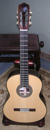 Concert Model 17