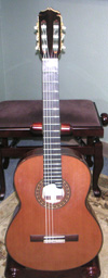Elite Concert Model 18