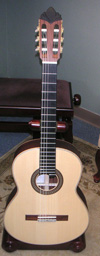 Elite Concert Model 19