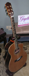 Elite Acoustic Taylor Style